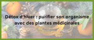 Lire la suite à propos de l’article Détox d’hiver : purifier son organisme avec des plantes médicinales